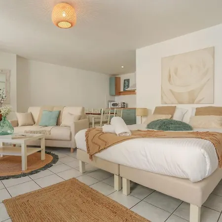 Immogroom - Place In Center - Ac - 5 Min From Beaches Cannes